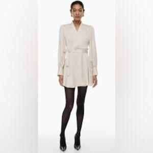 BNWT BABATON - ARITZIA satin dress, the Mini Hyde dress